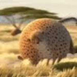 Meet your Posher, Abigail